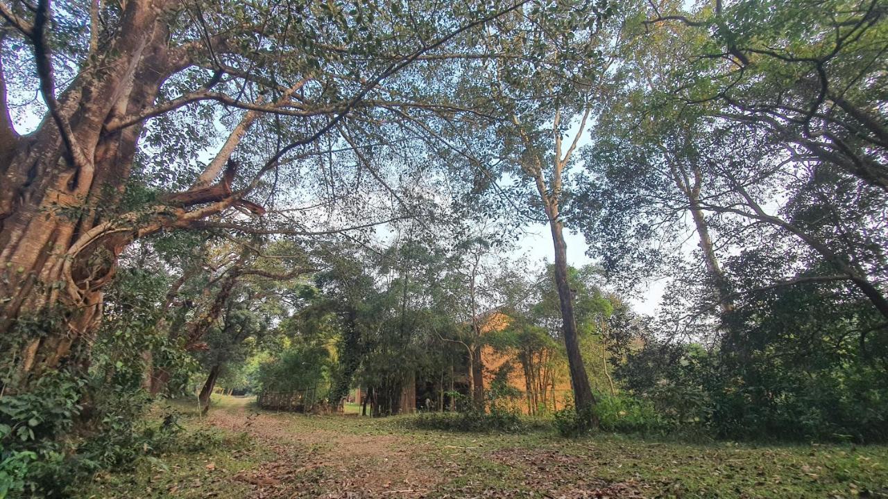 Klov Resort & Spa Wayanad Exterior foto